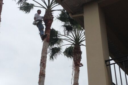 Lansing Island Climber