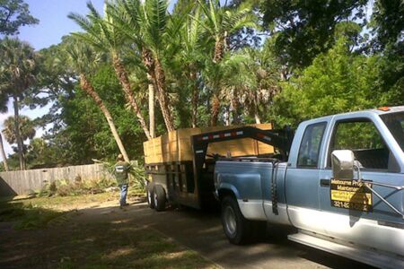 Palm Tree Delivery 1