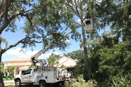 Tree Lifting