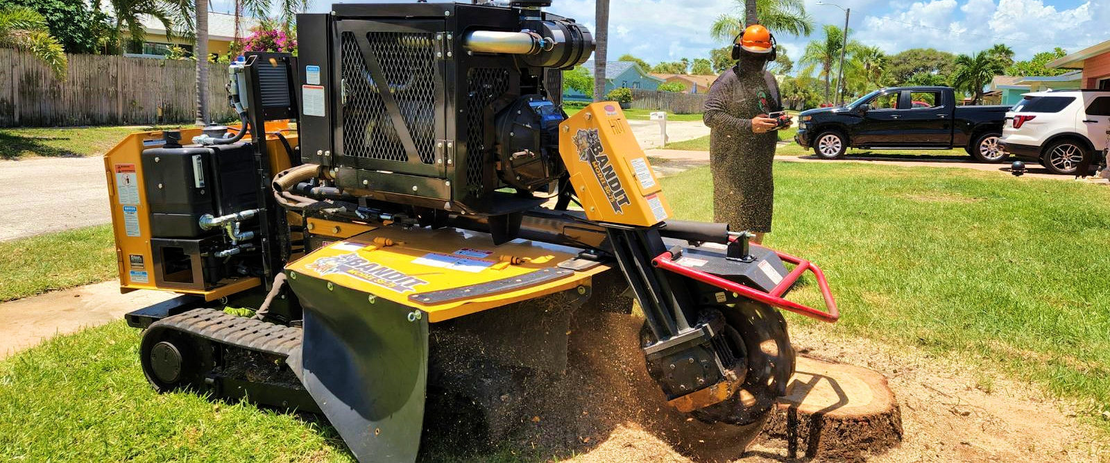 Stump Grinding in Melbourne Florida