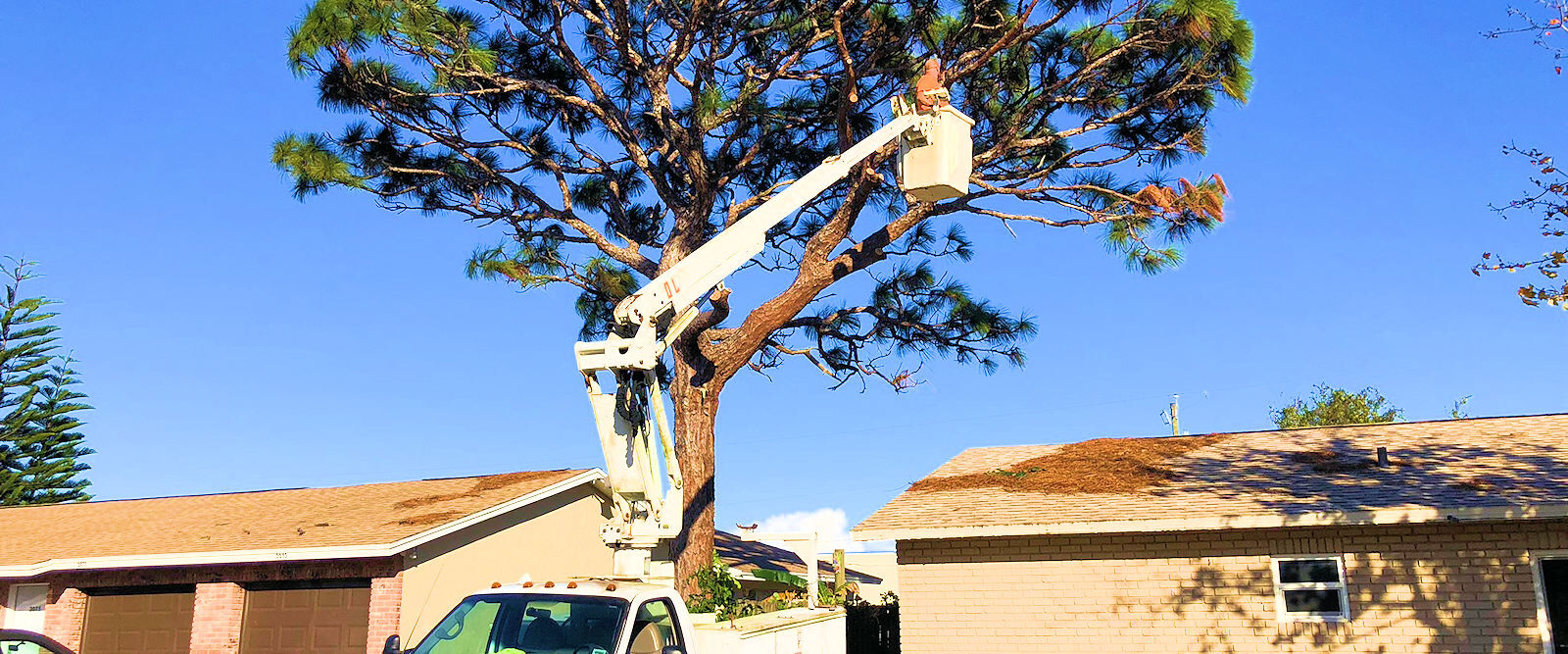 Tree Trimming Bucket Truck